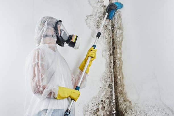 Best Mold Testing  in Douglas, WY