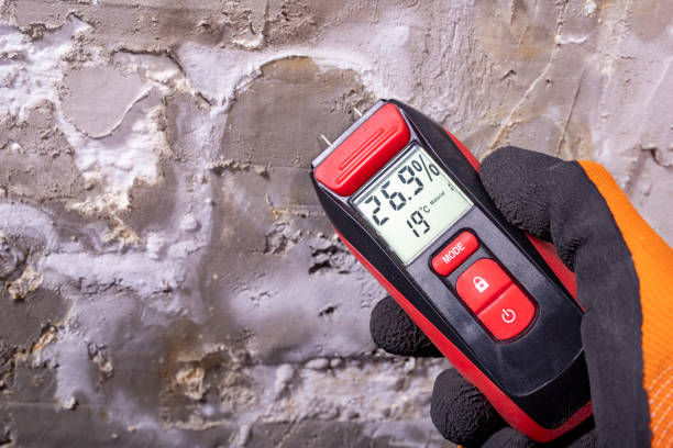Best Mold Removal Company Near Me  in Douglas, WY