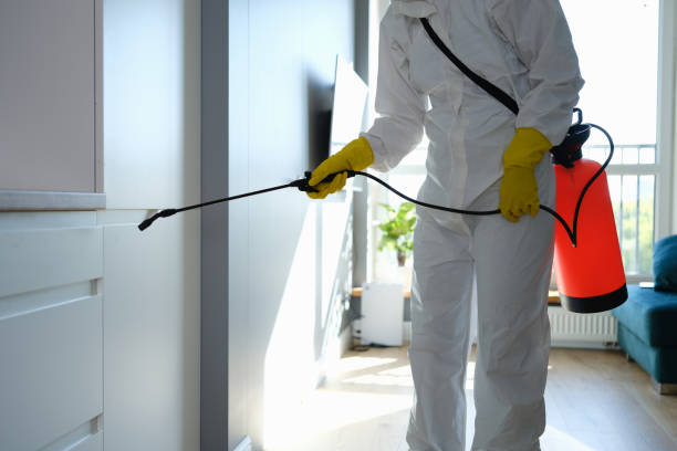 Best Certified Mold Removal  in Douglas, WY