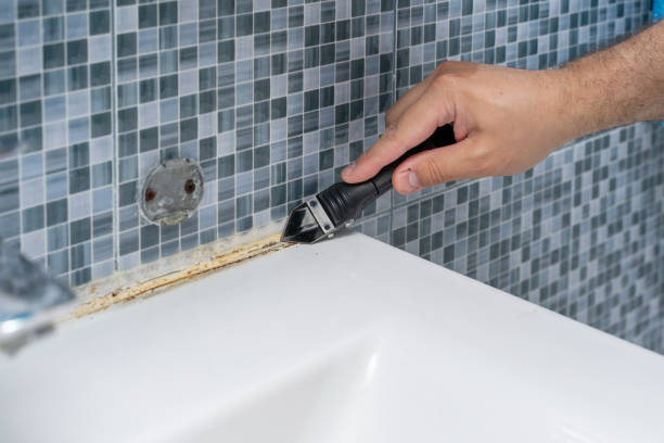 Best Mold Removal and Inspection  in Douglas, WY