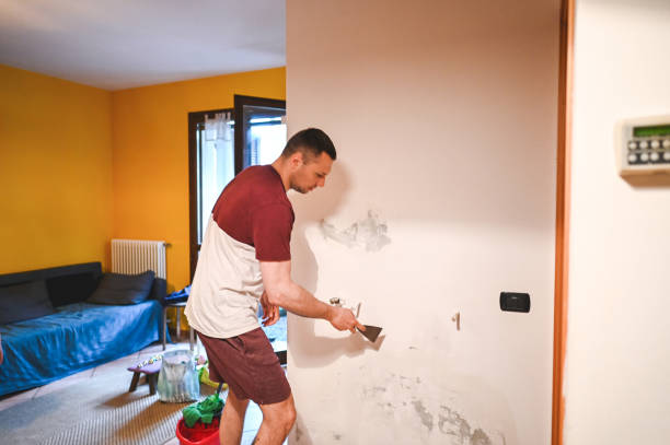 Best Fast Mold Removal  in Douglas, WY