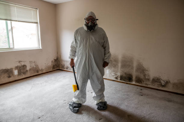 Best Attic Mold Removal  in Douglas, WY